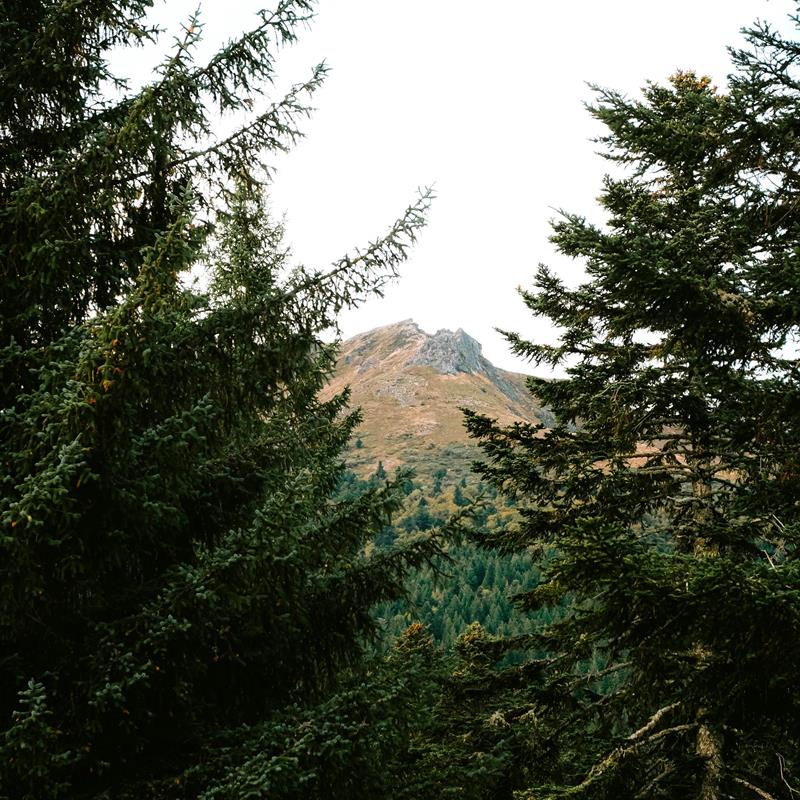 Duis vitae placerat tellus. Sed semper euismod sem