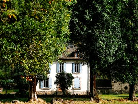 Nullam ipsum ante, tincidunt ut purus at, ultricies mollis est [EN]