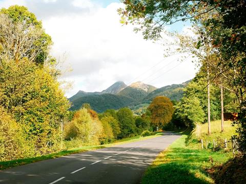 Nullam ipsum ante, tincidunt ut purus at, ultricies mollis est [EN]