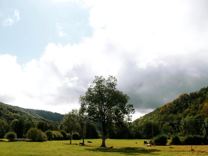 Historie - Unternehmen